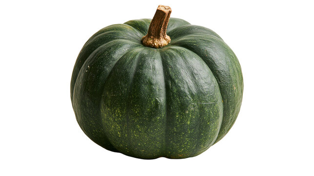 Dark green kabocha squash with a textured brown stem