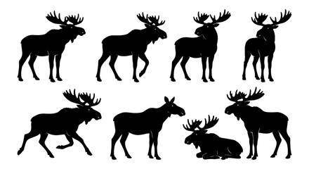 Obraz premium Moose Silhouette Collection, Wildlife Animal Vector Icons, Forest Mammal Graphic Set, Nature Element Illustrations