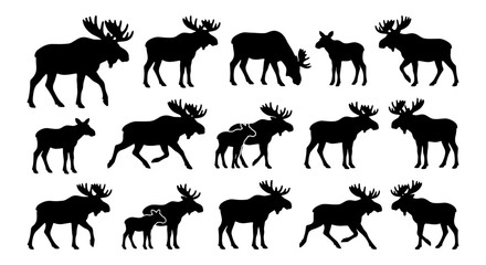 Fototapeta premium Moose Silhouette Collection, Wildlife Animal Vector Icons, Forest Mammal Graphic Elements, Nature Scene Illustrations