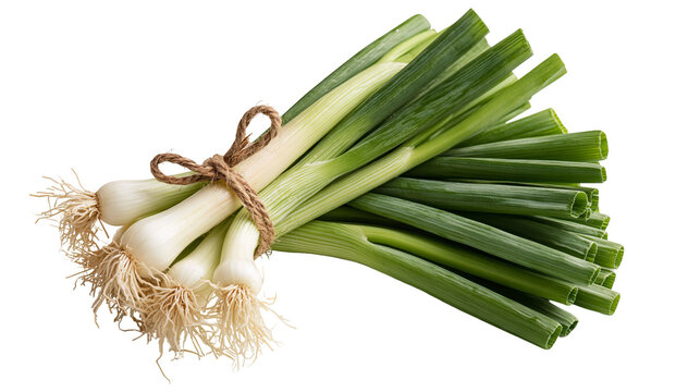 Fresh green spring onions tied with rustic twine