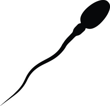 Sperm Cell Silhouette for Fertility and Reproduction