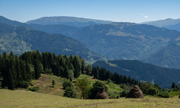 Traditional haystacks on green meadow with layered blue mountains background