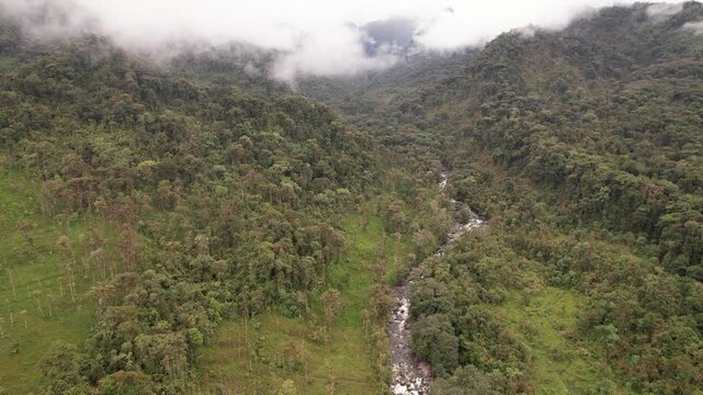 Aerial view of Rio Aliso, a river valley flowing out of the Andes towards the Amazon, through pristine montane rainforest on the slopes of the Andes near Cosanga, Ecuador