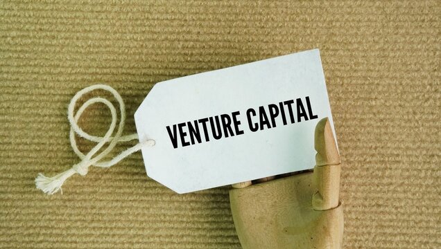 Tag the paper with the word venture capital. form of private equity financing that provides cash and support to startup and early-stage companies with high growth potential in exchange for an ownershi