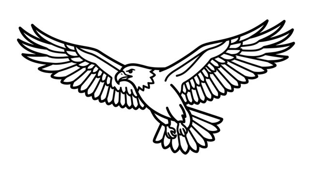 Majestic Flying Eagle Bird of Prey Vector Line Art