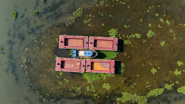 Aerial view of four rectangular red barges and one small blue boat moored together in a shallow lake filled with green aquatic plants in Salatiga, Central Java, Indonesia.