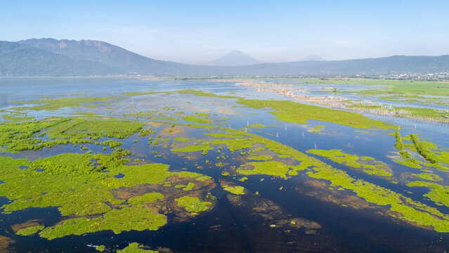 Aerial view of Rawa Pening lake with vibrant green water hyacinths and aquatic vegetation, surrounded by distant mountains under a clear blue sky in Salatiga, Central Java, Indonesia.