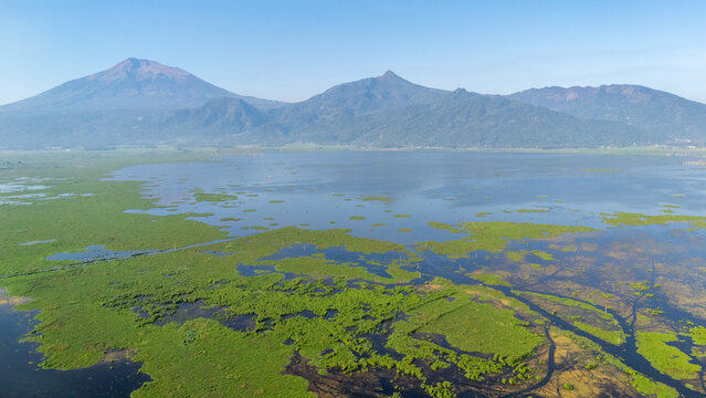 Aerial view of Rawa Pening lake surrounded by lush green wetlands and mountains under a clear blue sky in Salatiga, Central Java, Indonesia.