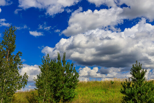 Sunny day with dramatic clouds over rolling grassland and forest edge