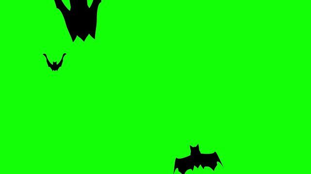 Black bat silhouettes flying on green screen, horizontal Halloween seamless loop in 4K