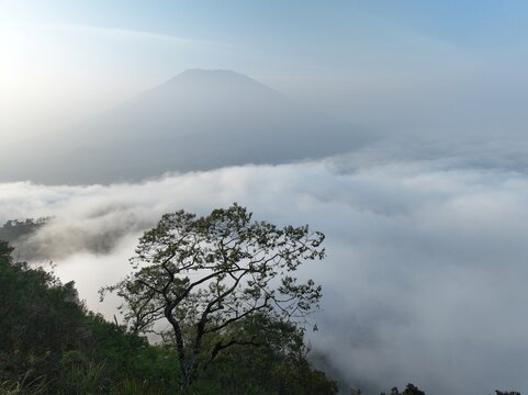 Aerial view of Triangle Sky Telomoyo with a lone tree in the foreground, surrounded by a sea of clouds and a distant mountain peak in Kecamatan Ngablak, Jawa Tengah, Indonesia.