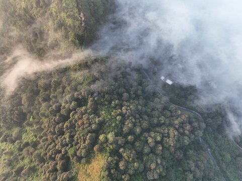 Aerial view of Triangle Sky Telomoyo surrounded by dense forest and winding roads partially obscured by mist in Kecamatan Ngablak, Jawa Tengah, Indonesia.