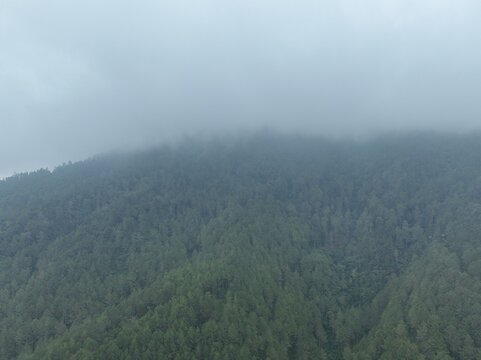 Aerial view of Mount Telomoyo covered in dense pine forests and shrouded in thick mist in the highlands of Kecamatan Ngablak, Jawa Tengah, Indonesia.