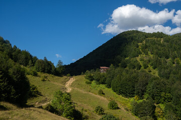 Fototapeta premium Scenic Mountain Slope with Dirt Road and Wooden Cabin Under Blue Sky