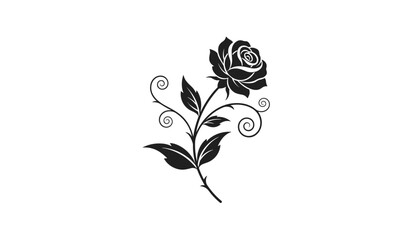 Fototapeta premium Stylized black rose illustration with elegant vine swirls and detailed leaves is isolated on a pure white background.