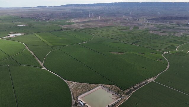 aerial view of green corn fields and wind turbines in distance