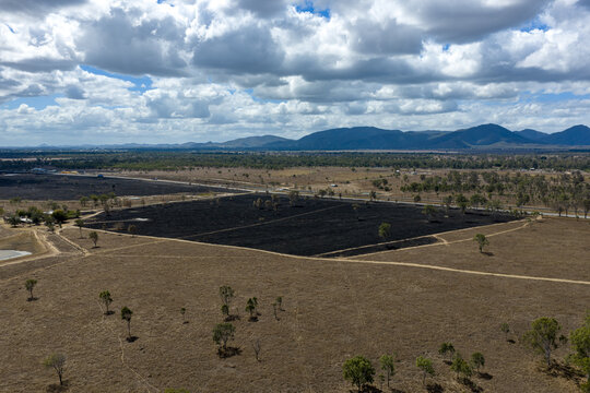 Aerial view of burnt cattle land following a wildfire with scorched earth and sparse trees under a cloudy sky in Rockhampton, Queensland, Australia.