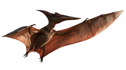 Pteranodon flying dinosaur with large wingspan and sharp beak © Ari