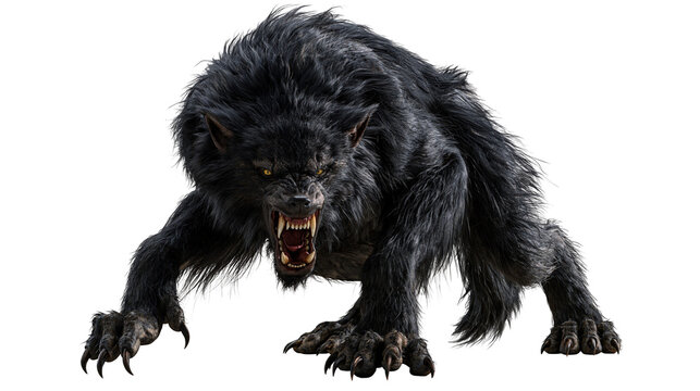 Fierce black werewolf crouching with bared teeth and sharp claws