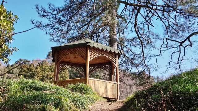 A bamboo wooden gazebo stands among tall trees under a clear blue sky.