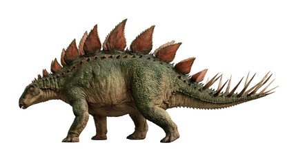 Stegosaurus dinosaur with green textured skin and large dorsal plates and spikes © Thaddeus