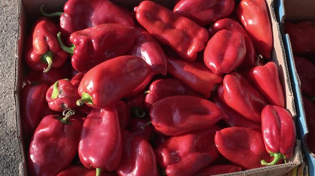 Red horn peppers on a market stall. Fresh sweet red horn peppers displayed at a local farmers market.