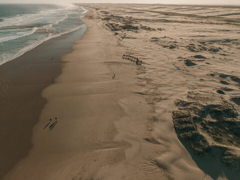 Aerial view of Birubi Point featuring a camel train trekking across the vast Stockton Sand Dunes alongside the ocean waves in Anna Bay, New South Wales, Australia.