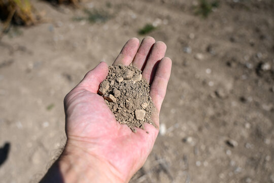 Farmer holding dry soil affected by drought in agricultural field. Agricultural crisis. Man inspecting dry earth in hands. Barren ground affected by severe drought.Climate change impact on agriculture