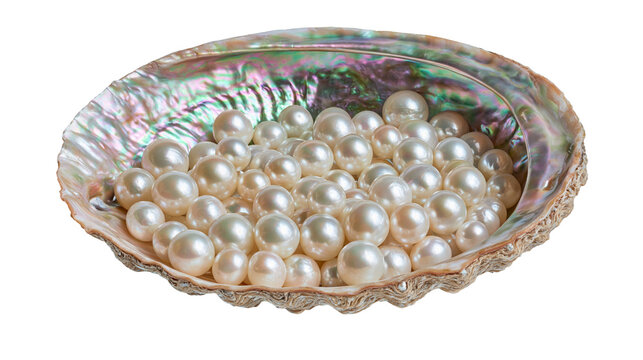 Lustrous white pearls inside an iridescent abalone shell bowl