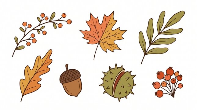 Cute Hand Drawn Autumn Elements Set Maple Oak Leaves Acorn Chestnut and Berries Vector Illustration Isolated on White Background