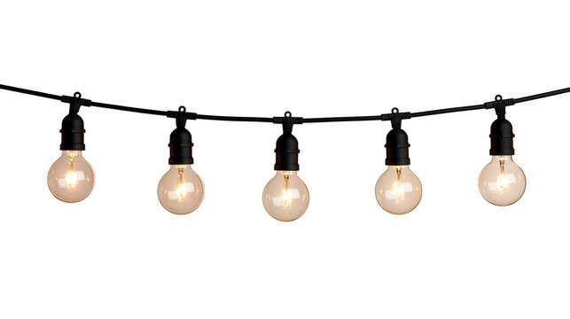 Glowing vintage Edison style light bulbs on a black string wire