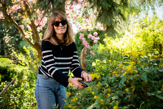 Mid-aged woman and removing old stems and leaves in a back yard