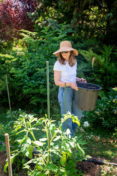 Woman gardening in vegetable garden