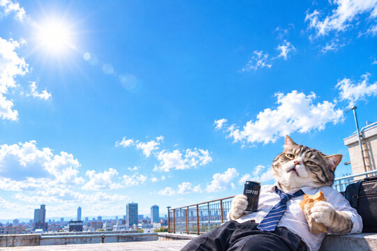 Tired office worker cat enjoying a coffee break on a sunny rooftop