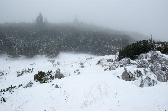 Winter landscape with snow, rocks, Rax, Austria