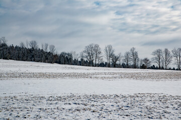 Obraz premium Panoramic winter landscape with snow-covered field and trees