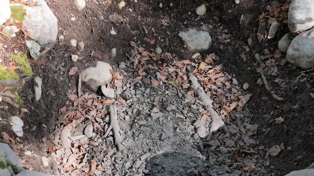 Video of a natural fire pit in a forest, dug into the ground and surrounded by large stones. A layer of gray ash and remnants of burned wood are visible at the bottom