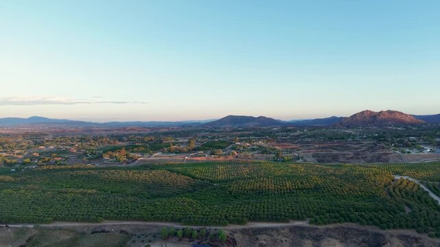 Aerial view of vineyard rows and rural landscape at sunrise in Temecula, California