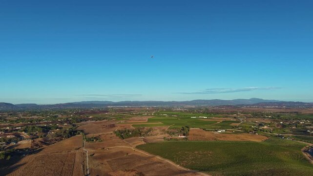 Aerial glide above the Vineyards of Temecula California with a Hot Air Balloon off in the distant. Early morning flight reveals a peaceful Fall morning in Wine Country.