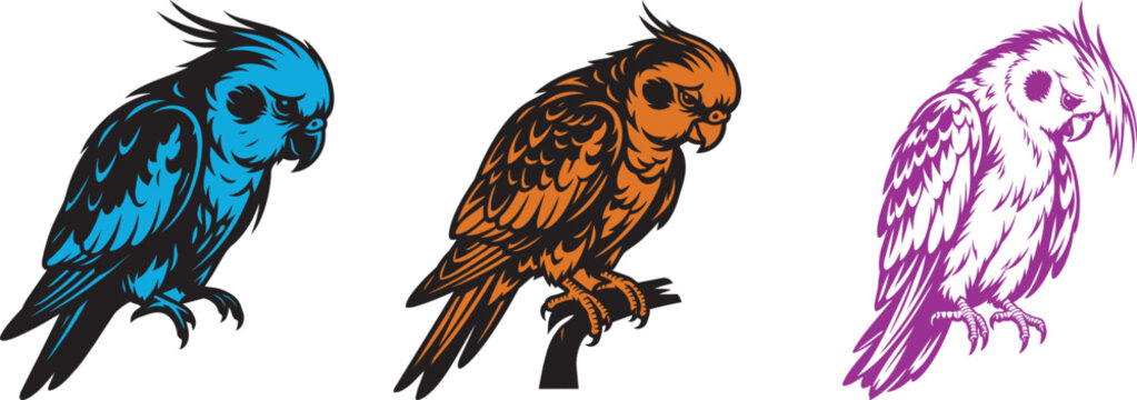 Colorful stylized illustration of three different birds perched on branches