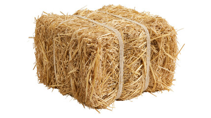 Square bale of golden dry straw tied with natural twine rope © Isolde