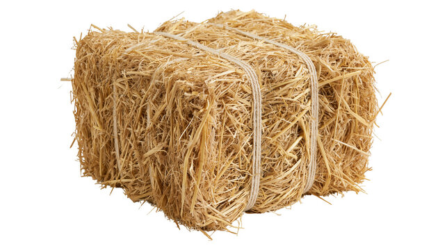 Square bale of golden dry straw tied with natural twine rope