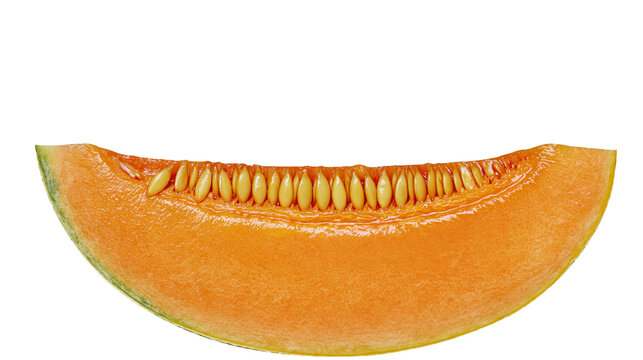 Fresh ripe cantaloupe melon slice with seeds