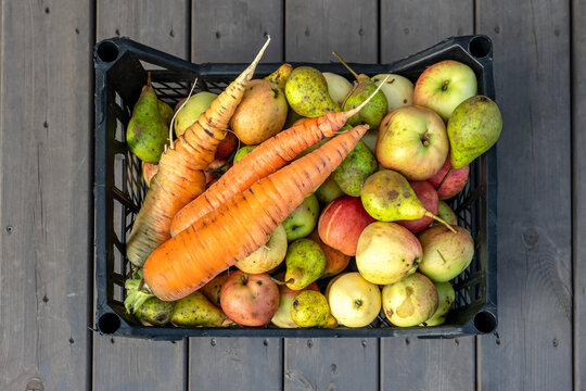 Overhead View of an Autumn Harvest Crate Filled with Fresh Produce