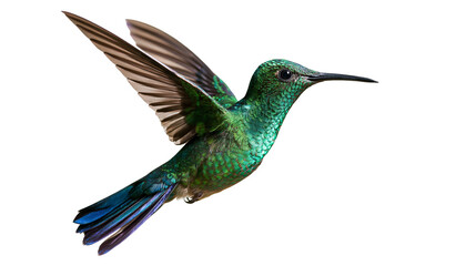 Vibrant green hummingbird in flight with iridescent feathers and spread wings © Isolde