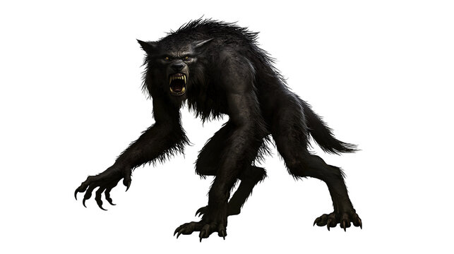 Fierce black werewolf creature with sharp teeth and claws in a crouching stance