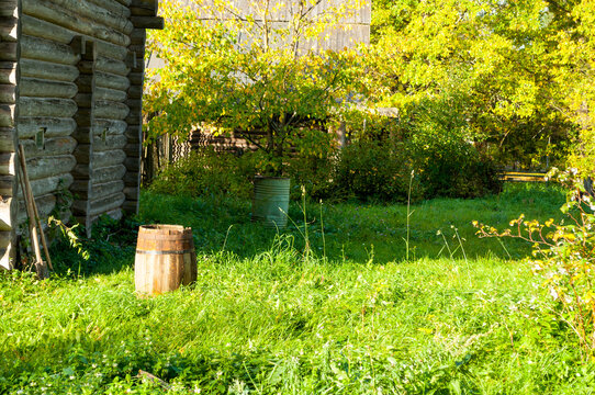 Rustic garden background. A wooden log cabin wall beside green grass. An old wooden barrel and metal container on the lawn in a sunny countryside yard