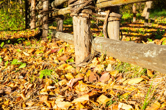 Autumn nature background. A rustic wooden fence made of rough logs. Dry fallen leaves covering the ground around the base of the weathered posts