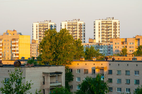 City landscape background. Modern apartment buildings and green trees. Warm golden sunlight hitting the facades and rooftops of the urban skyline