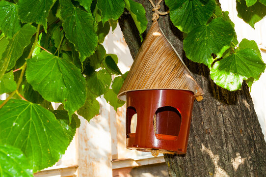 Nature background. A decorative bird feeder hanging on a tree trunk. Green linden leaves surrounding the wooden structure in a sunny garden setting